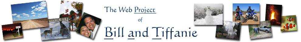 The Web Project of Bill and Tiffanie